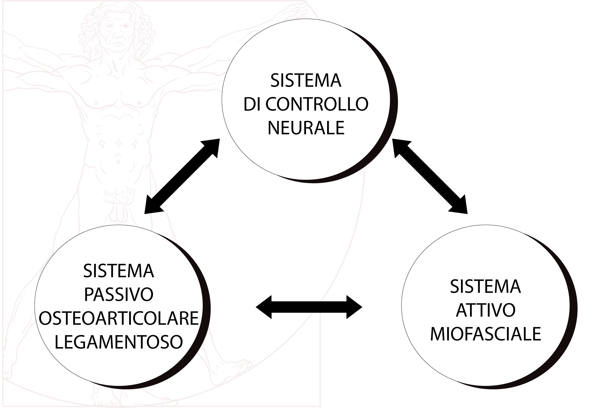 La piramide di Panjabi - Rieducazione propriocettiva Fisioterapia e Riabilitazione Grosseto Centro Hermes